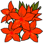花レンゲツツジ(群馬県の花)
